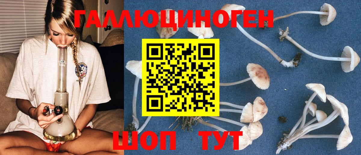 Псилоцибиновые грибы ЛСД Людиново
