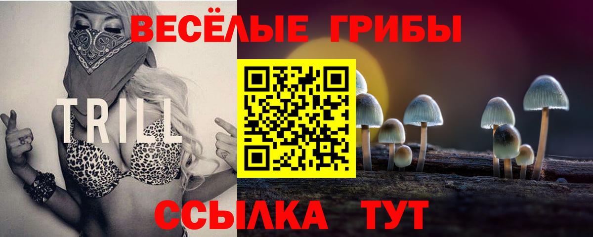 купить наркотики цена  Вход с VPN  Людиново  Галлюциногенные грибы ЛСД 